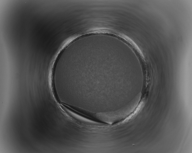 X0000087681277200705111253