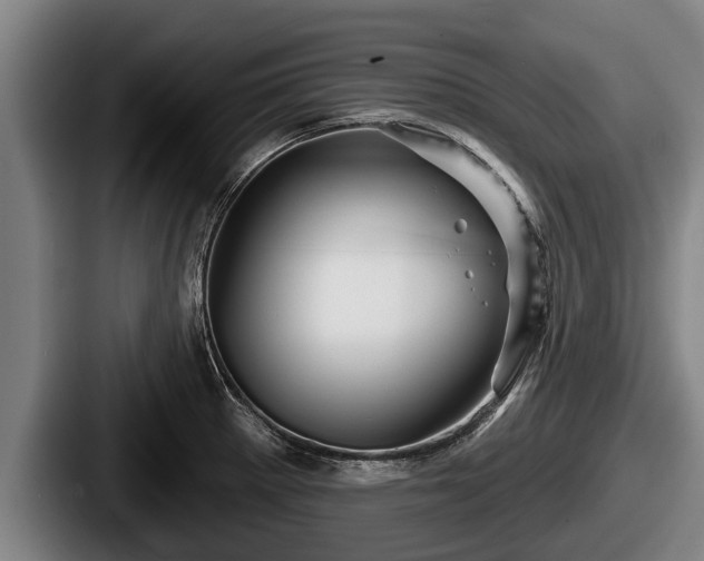 X0000087681281200705111253