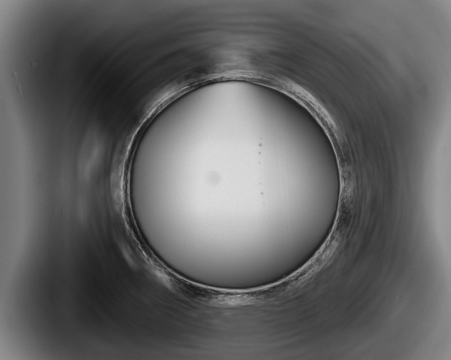 X0000087681282200705111253