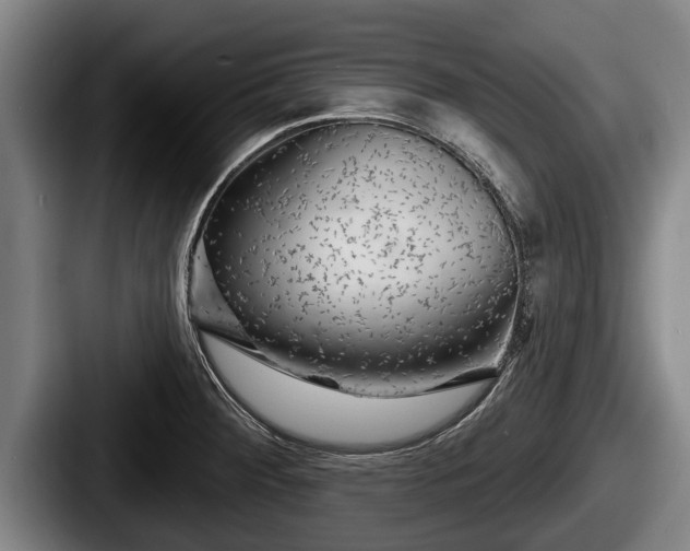 X0000087681284200705111253