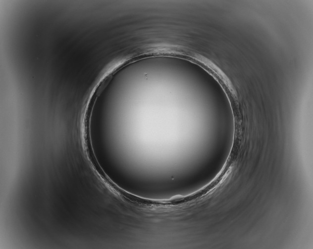 X0000087681285200705111253