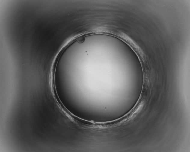 X0000087681286200705111253