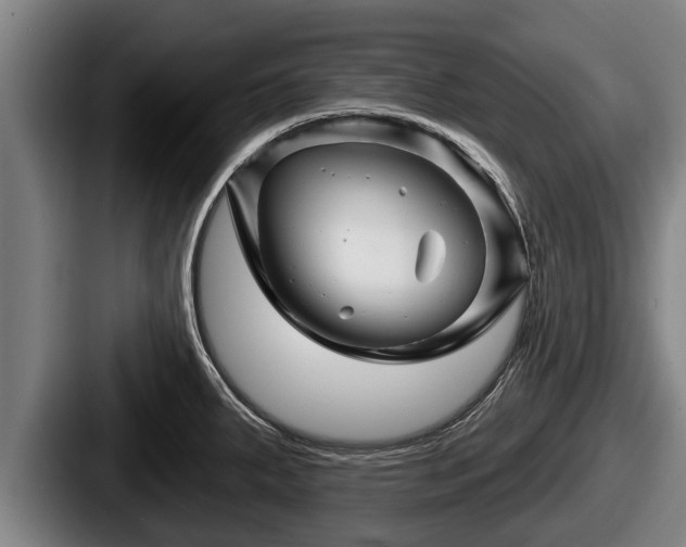 X0000087681287200705111253