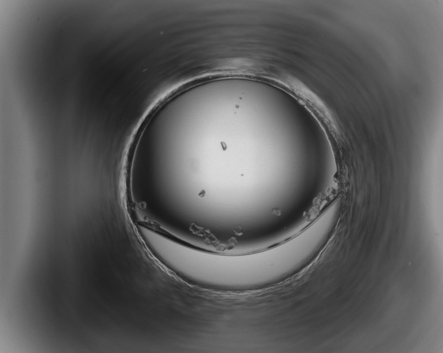 X0000087681288200705111253