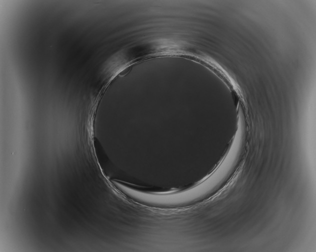 X0000087681289200705111253