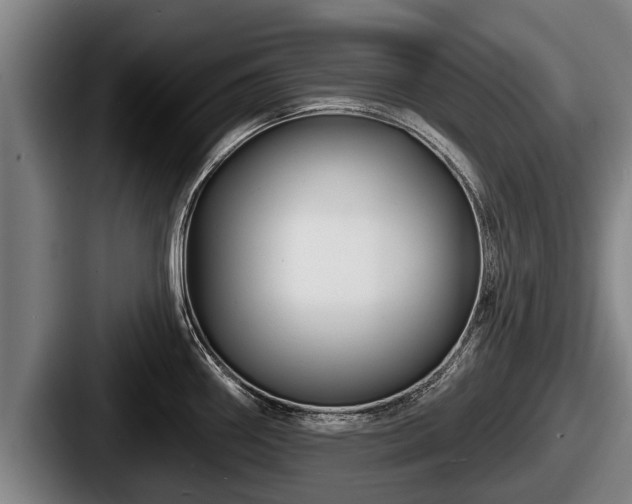 X0000087681290200705111253