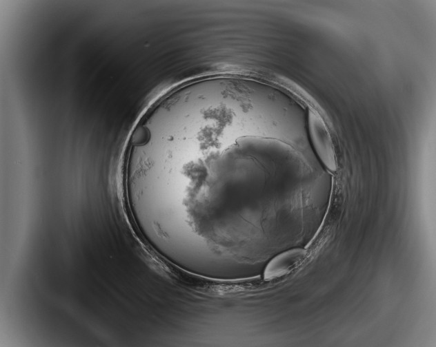 X0000087681291200705111253