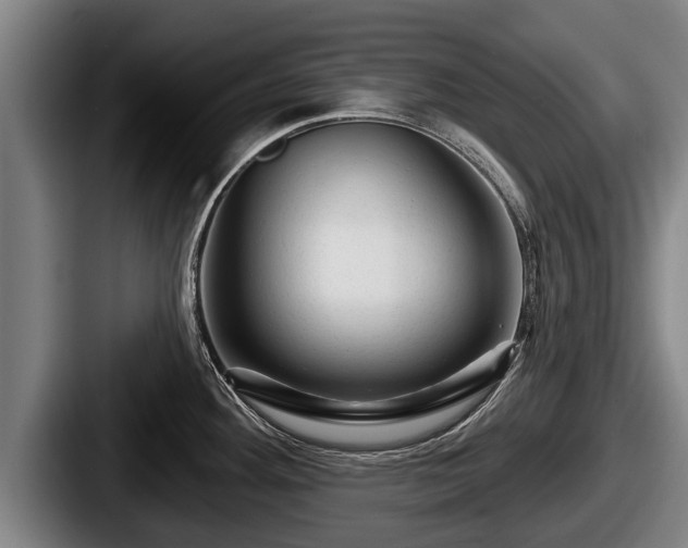 X0000087681292200705111253