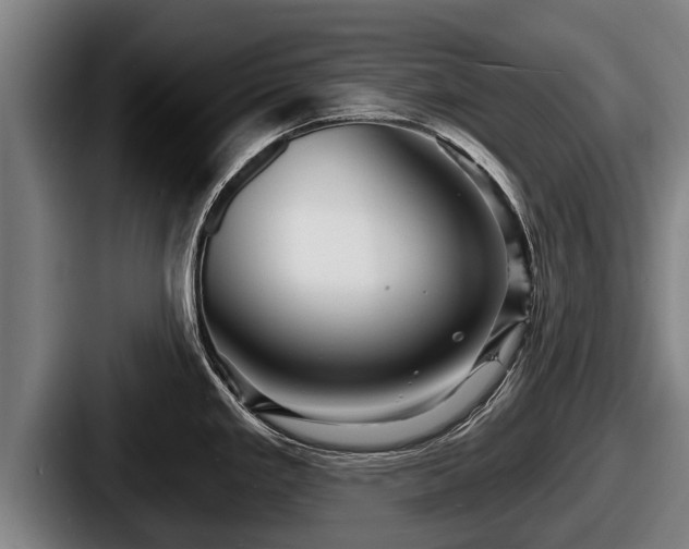 X0000087681293200705111253
