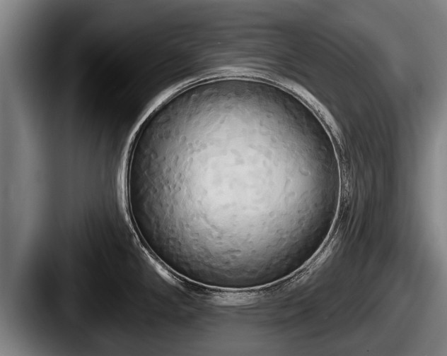 X0000087681294200705111253