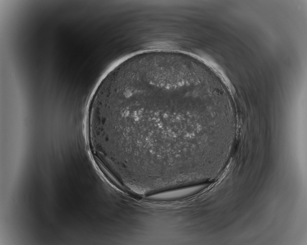 X0000087681295200705111253