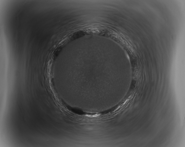 X0000087681297200705111252