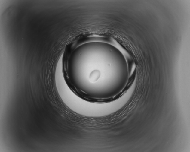 X0000087681298200705111252