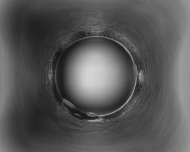 X0000087681299200705111252