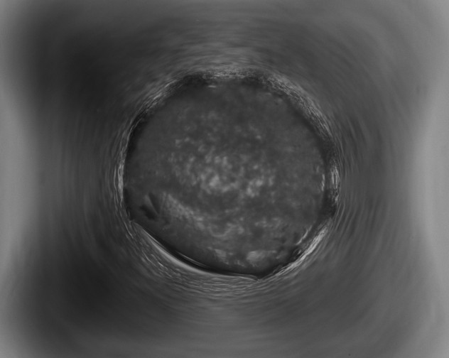 X0000087681300200705111252