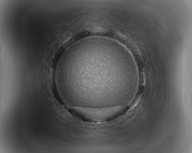X0000087681301200705111252