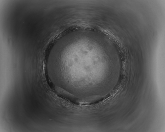 X0000087681302200705111252