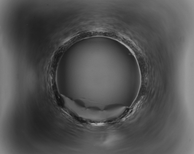 X0000087681303200705111252