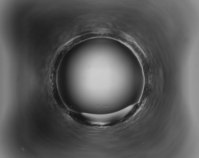 X0000087681304200705111252