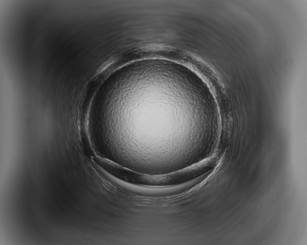 X0000087681305200705111252