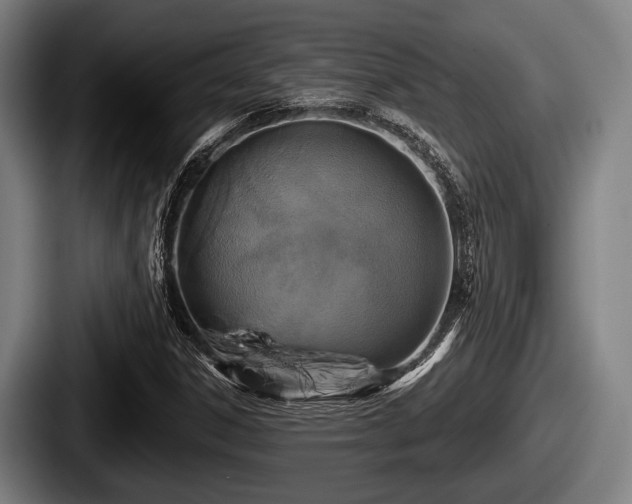 X0000087681306200705111252