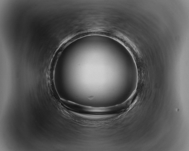 X0000087681308200705111252