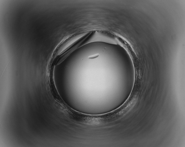 X0000087681309200705111252