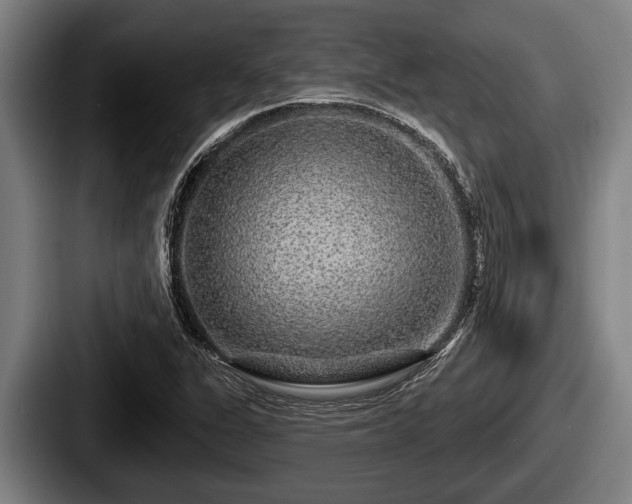 X0000087681311200705111252