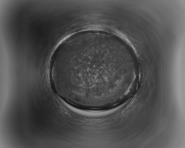 X0000087681312200705111252