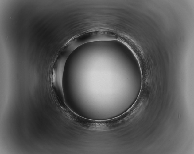 X0000087681313200705111252