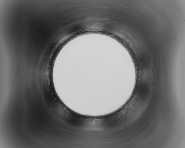 X0000087681314200705111252