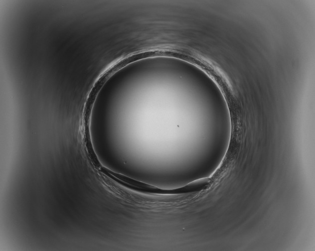 X0000087681316200705111252