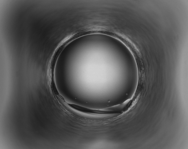 X0000087681317200705111252
