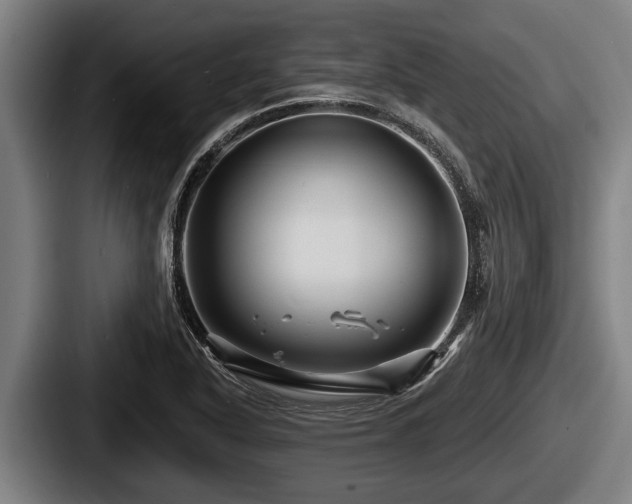 X0000087681318200705111252