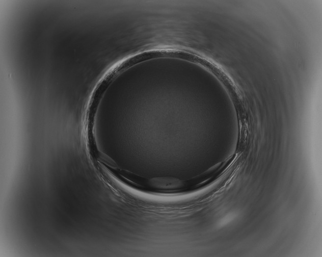 X0000087681319200705111252