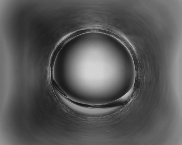 X0000087681320200705111252