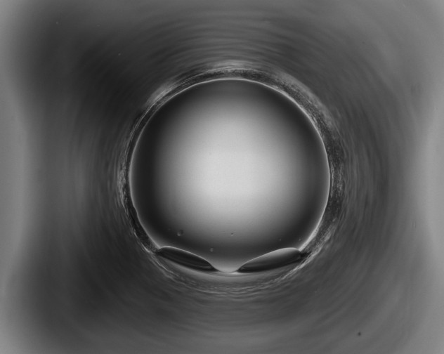 X0000087681321200705111252