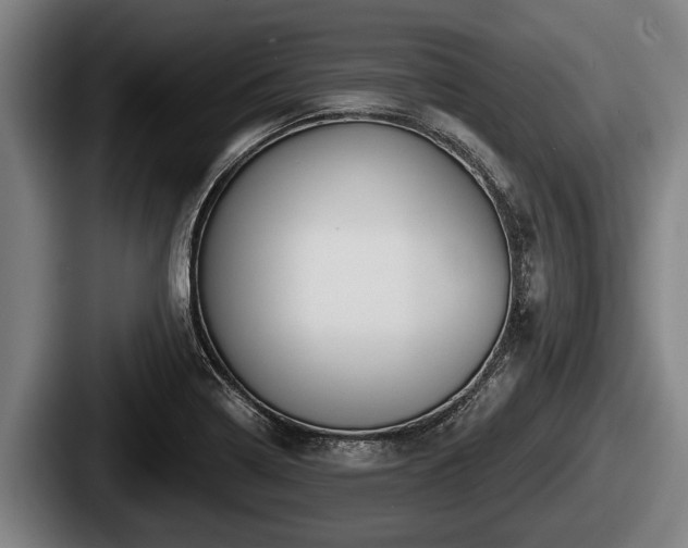 X0000087681322200705111252