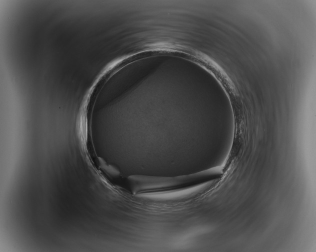 X0000087681323200705111252