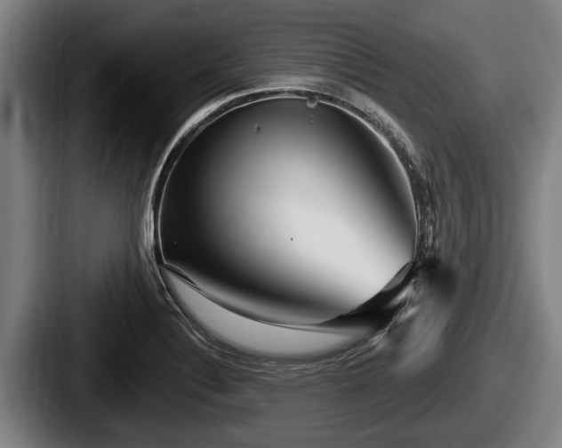 X0000087681324200705111252