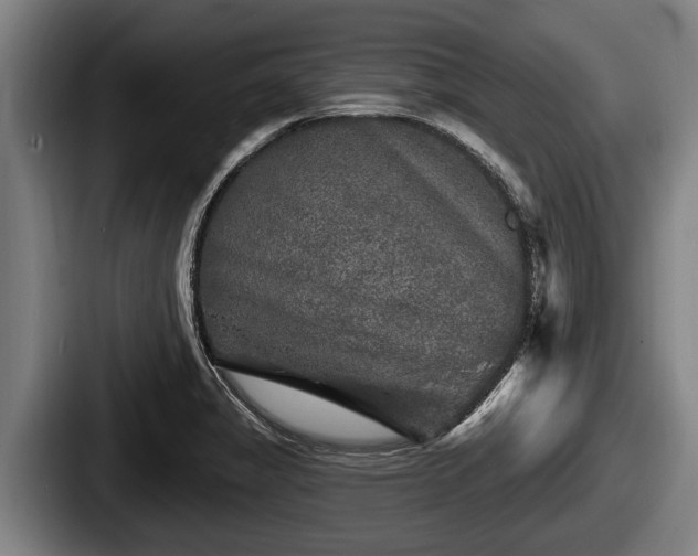 X0000087681325200705111252
