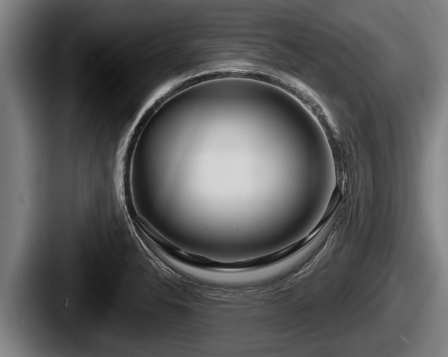 X0000087681326200705111252