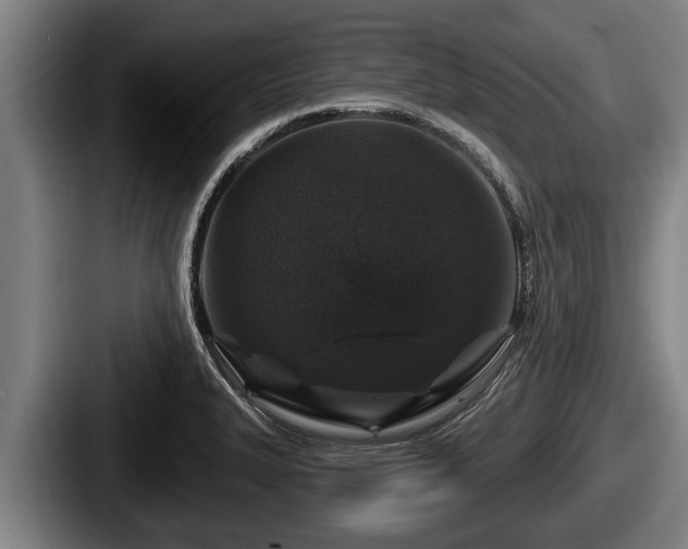 X0000087681327200705111252
