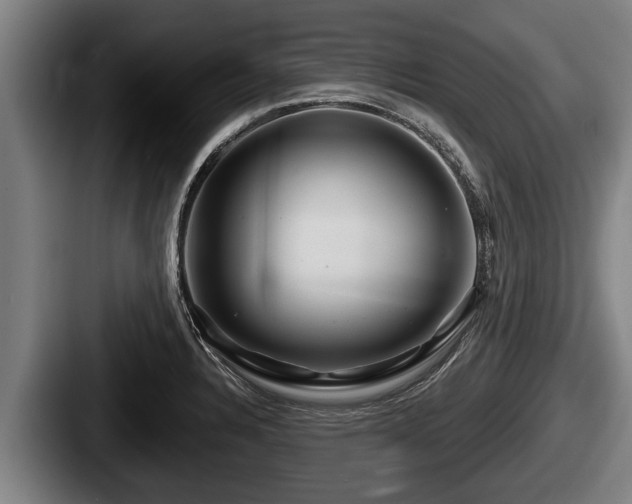 X0000087681328200705111252