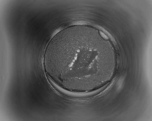 X0000087681329200705111252
