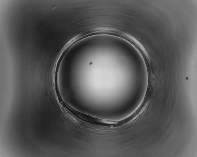 X0000087681330200705111252