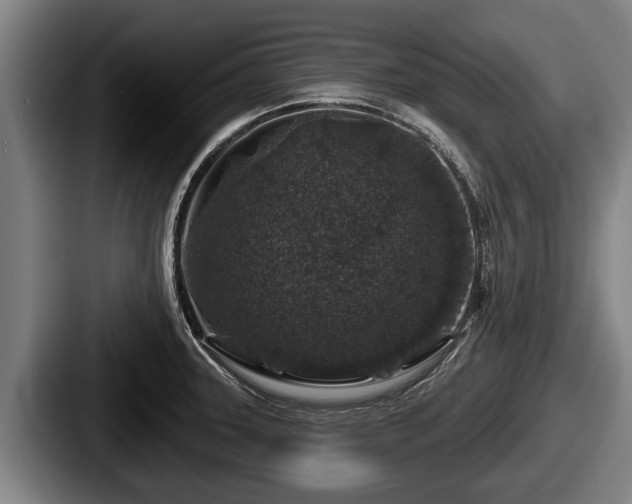 X0000087681331200705111252