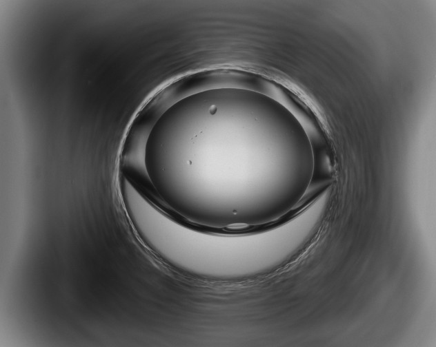 X0000087681332200705111252