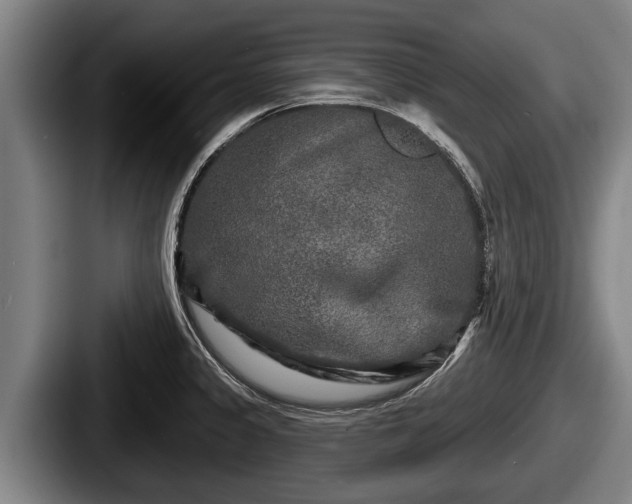 X0000087681333200705111252