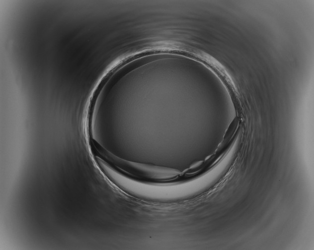 X0000087681334200705111253